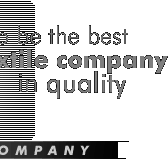 About the Company