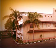 About the Company