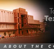 About the Company